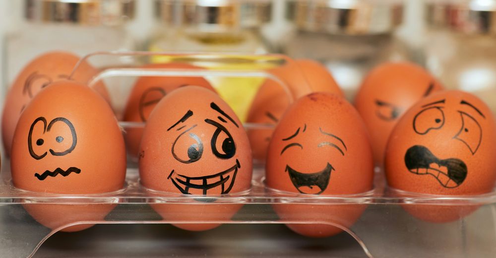 Behaviour & Investing: Why Emotions Matter | Hamilton Financial Behaviour & Investing: Why Emotions Matter | Hamilton Financial